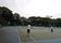 【テニス部】練習＠大井ふ頭中央海浜公園