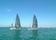 Melges24 世界選手権 Day2【ヨット】<2014/01/30>