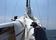 Trans Sagami Yacht Race 2008 『ESPRiT』は11位 