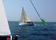 Trans Sagami Yacht Race 2008 『ESPRiT』は11位 