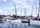 Melges24 世界選手権 Day2【ヨット】<2014/01/30>