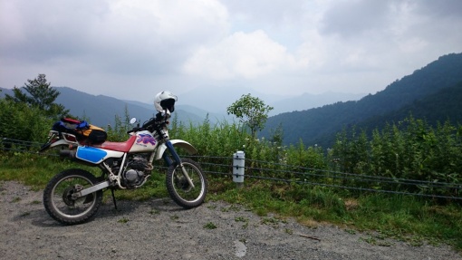 写真はイメージです（田代山林道）