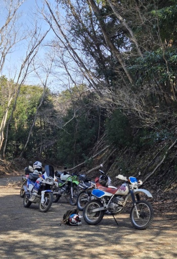 tobira