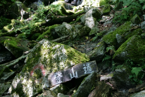 登山道