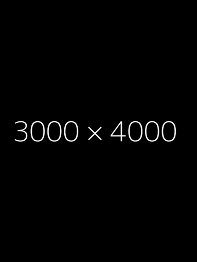 4000*3000