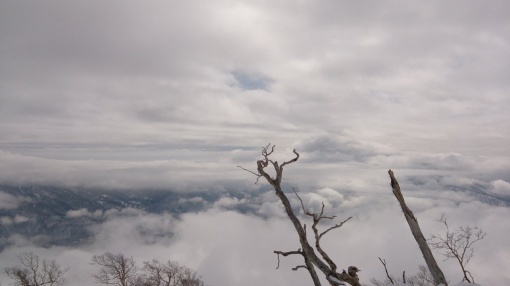 雲海